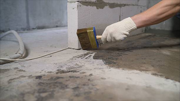 Crawl space vapor barrier installation in River Grove, IL